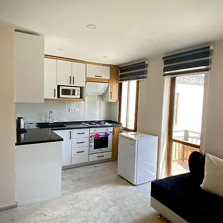 Apartament Artun House